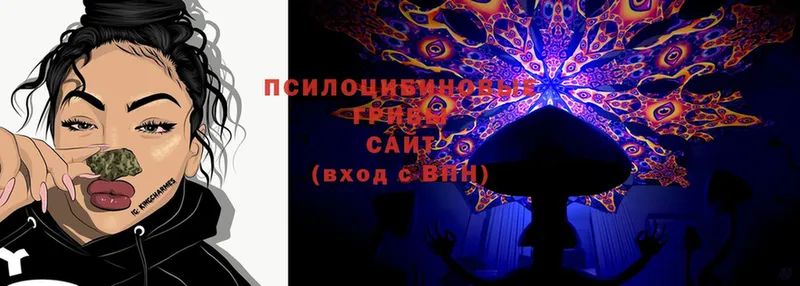 Псилоцибиновые грибы Magic Shrooms  Ковров 